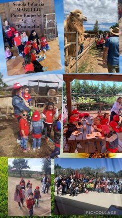 VISITA GUIDATA SCUOLA DELL'INFANZIA4