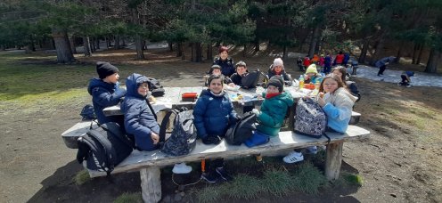 Visita guidata - Crateri Silvestri dell'Etna 4